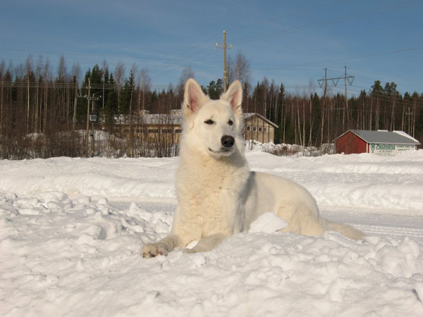 Bild12