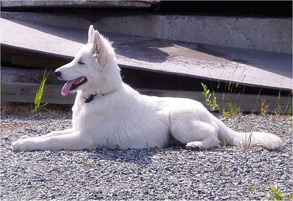 Bild24