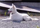 Bild24