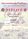 Diplom